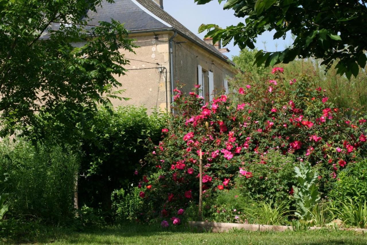 Chambres D'Hotes Du Jay La Guerche-sur-l'Aubois Luaran gambar