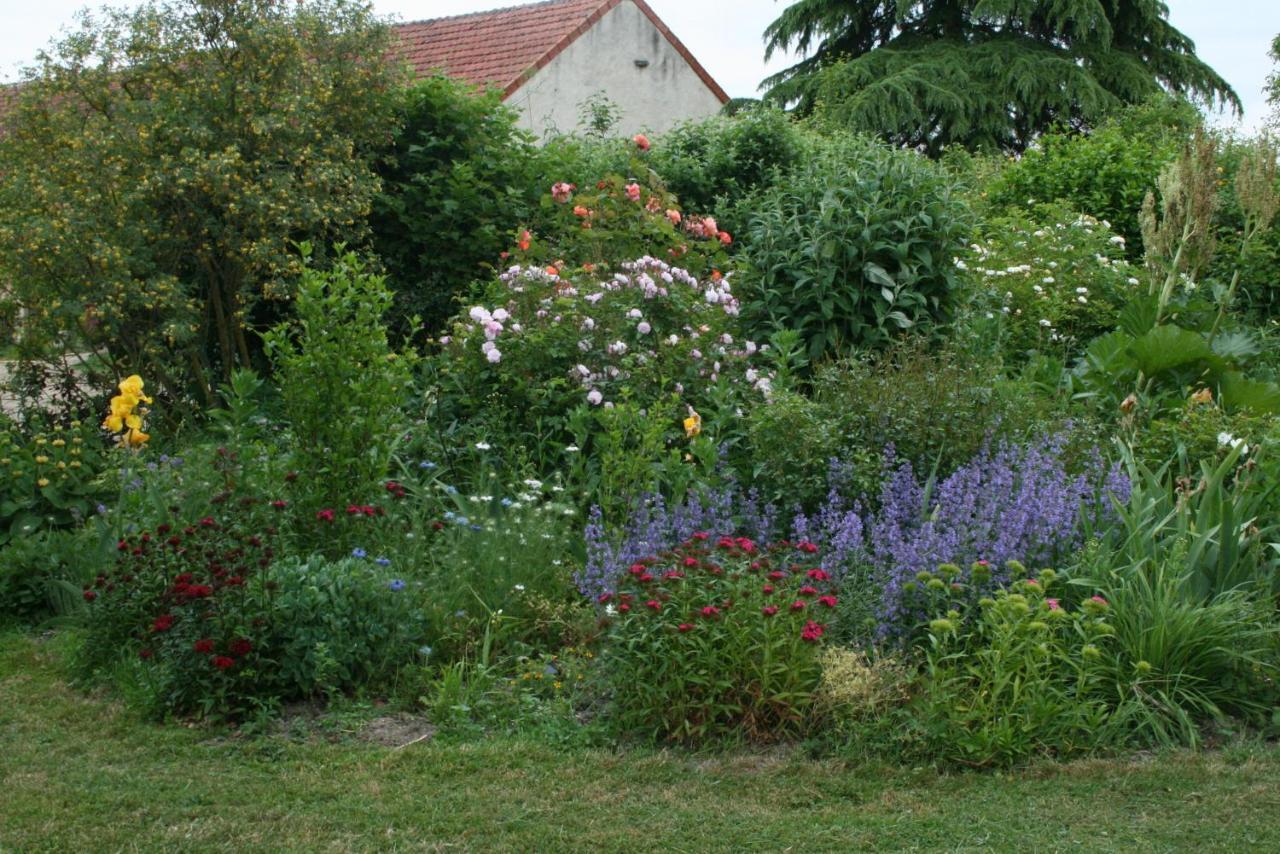 Chambres D'Hotes Du Jay La Guerche-sur-l'Aubois Luaran gambar